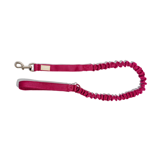 Correa reata expansible BASIC Vinotinto