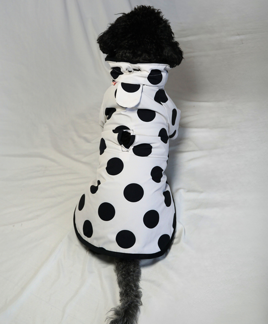 Raincoat & Hoodie - Cozystorm