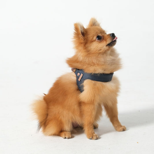 Arnes Para Perro Cuero Navy y Cafe