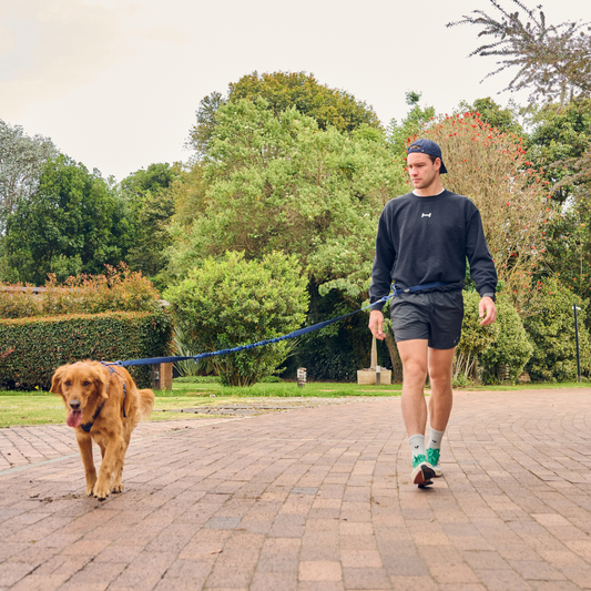 Correa manos libres BASIC Verde Militar