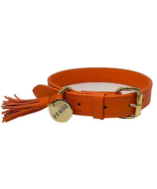Collar Para Perro Cuero Naranja