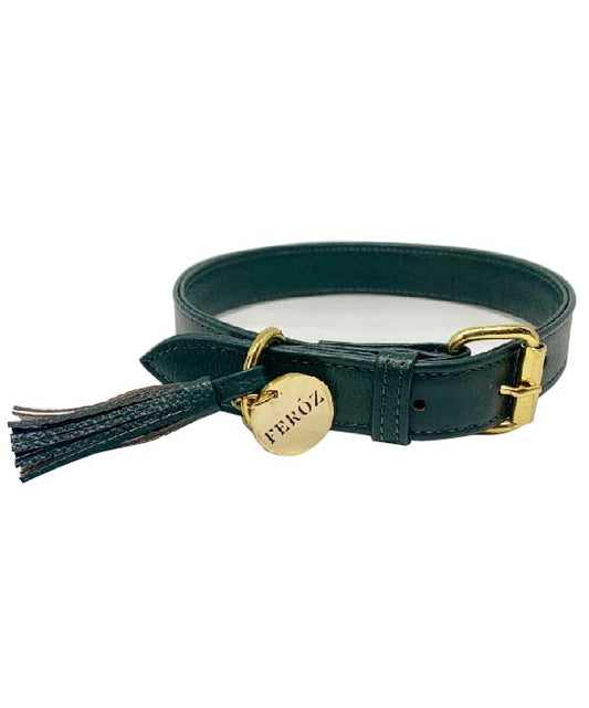 Collar Para Perro Cuero Verde Pino