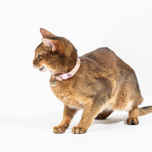 Collar Gato Cuero Rosa Pálido