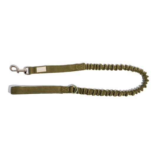 Correa reata expansible BASIC Verde Militar