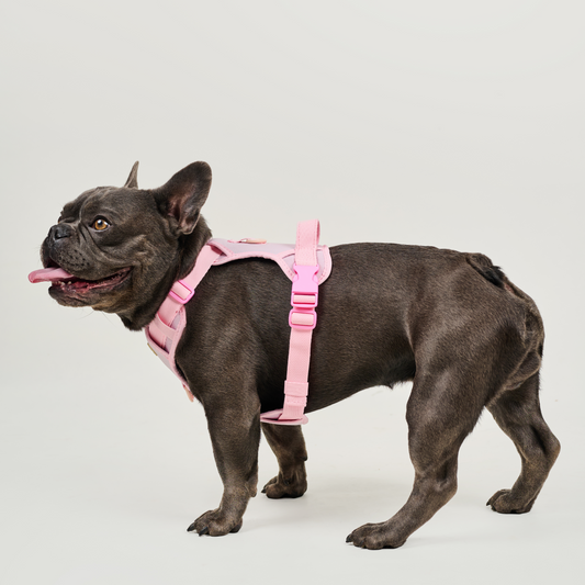 Arnés deportivo BASIC Rosa Palido