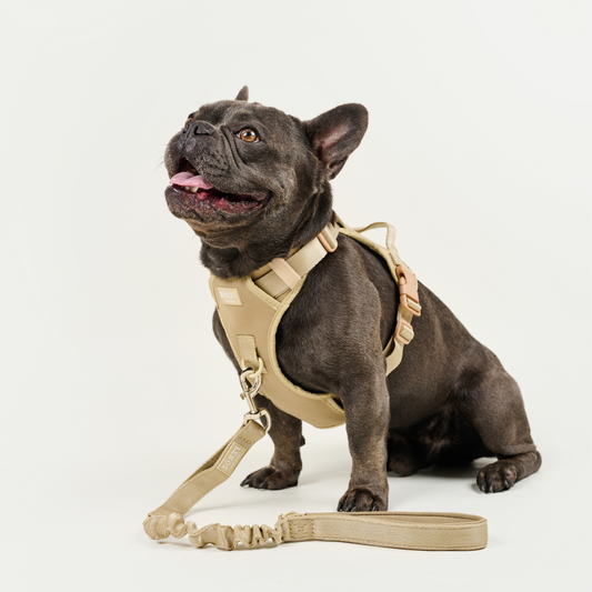 Arnés deportivo BASIC Beige