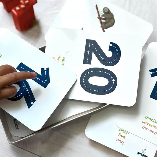 Los números de los animales de Colombia - Flash Cards