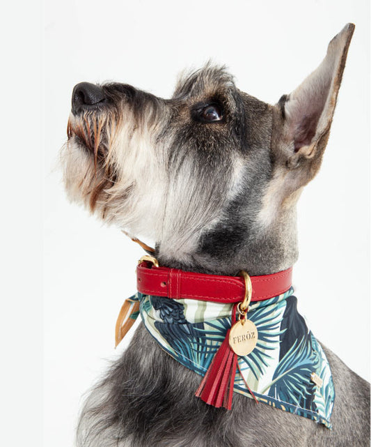 Collar Para Perro de Cuero Rojo