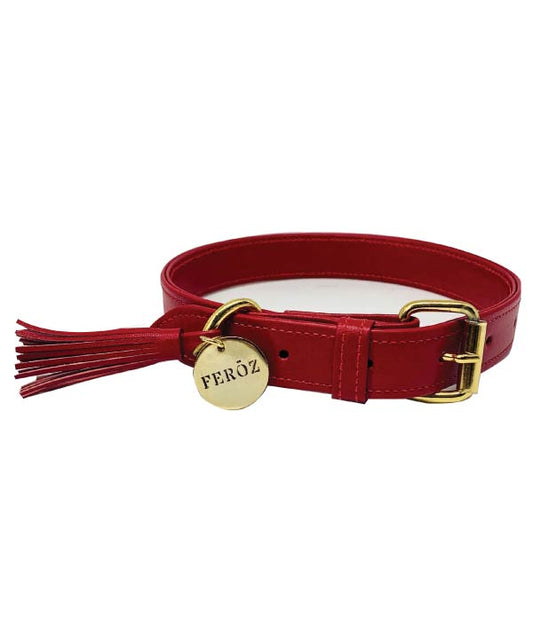 Collar Para Perro de Cuero Rojo